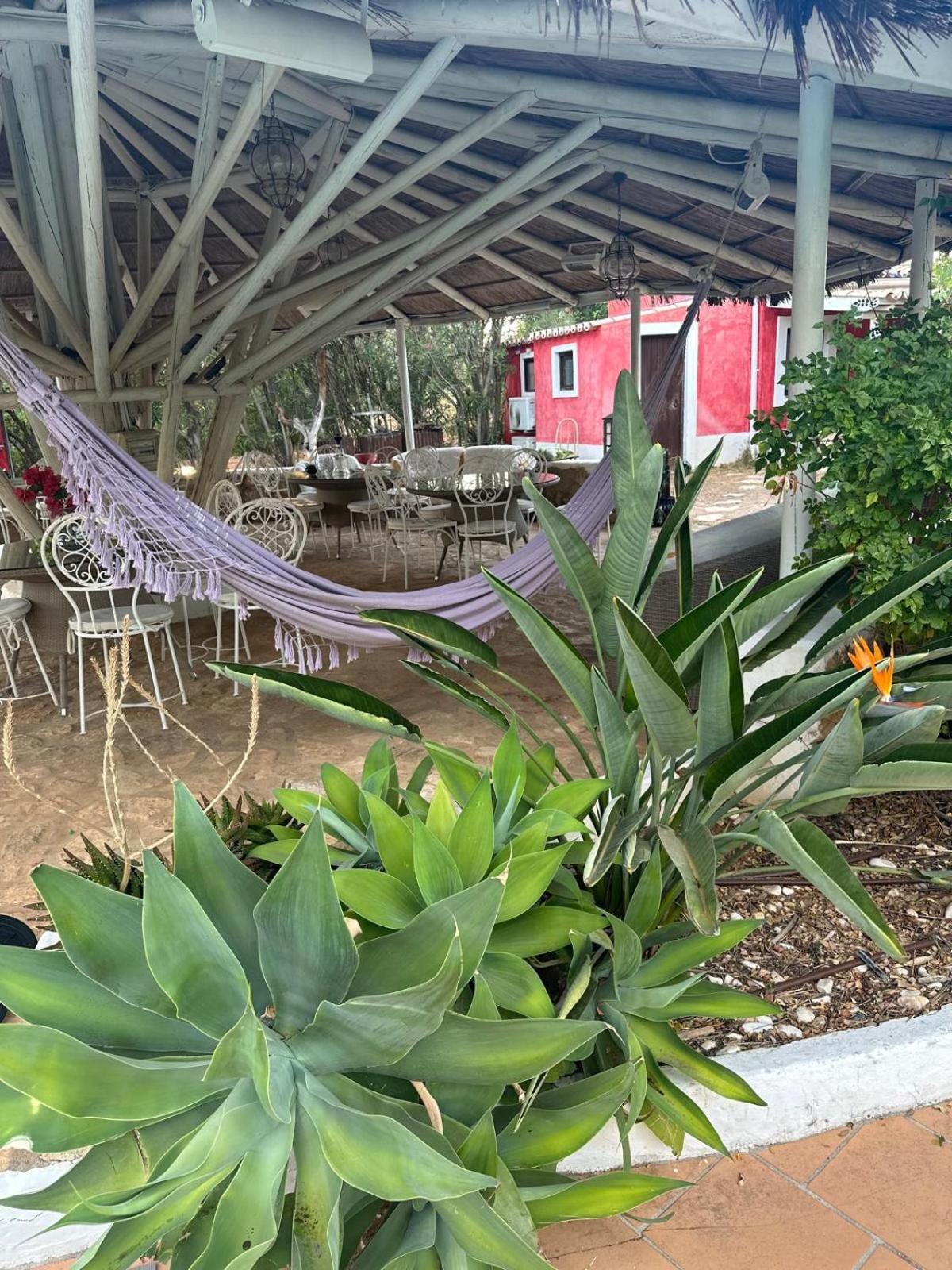 מלון בולקיאמה Nuriah Boutique House מראה חיצוני תמונה
