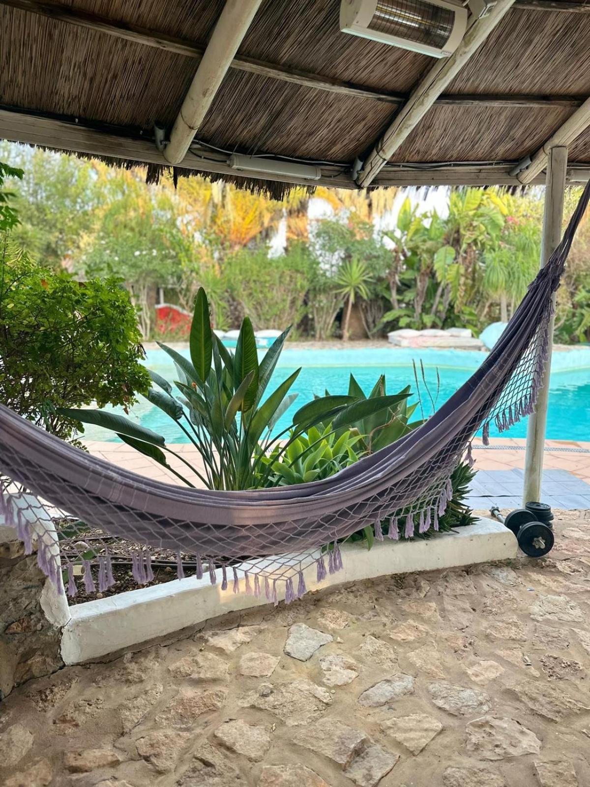 מלון בולקיאמה Nuriah Boutique House מראה חיצוני תמונה