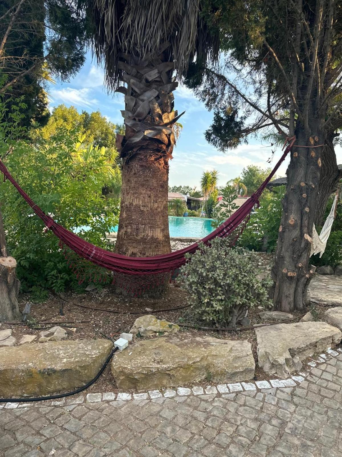 מלון בולקיאמה Nuriah Boutique House מראה חיצוני תמונה
